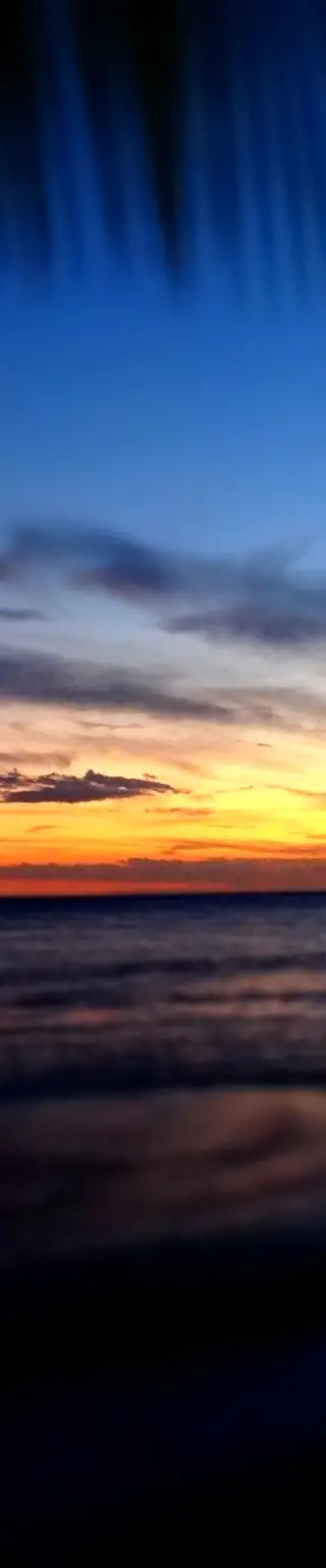 Kajake in einer biolumineszierenden Bucht